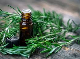 Rosemary health benefits